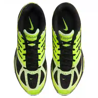 Nike Air Pegasus 2005