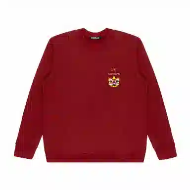 Arcteryx Extraordinary