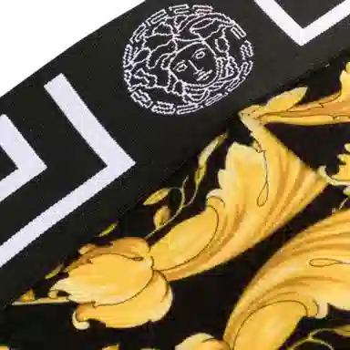 Versace Baroque Print Briefs