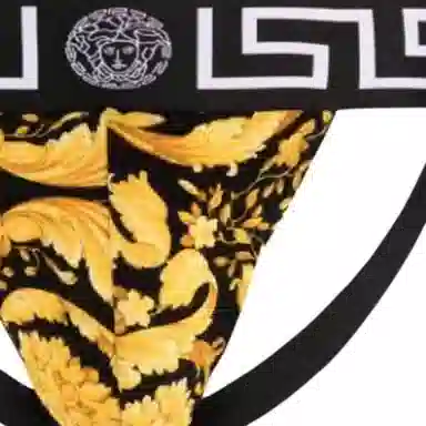 Versace Baroque Print Briefs