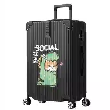 HACIN ABS 2024262228