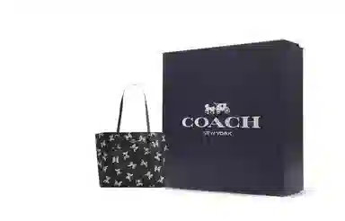 COACH Mollie 34 Tote Bag