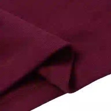 Polo Ralph Lauren Logo