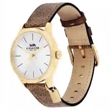 COACH 32mm 30m