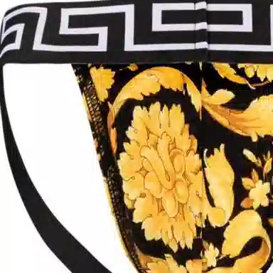 Versace Baroque Print Briefs