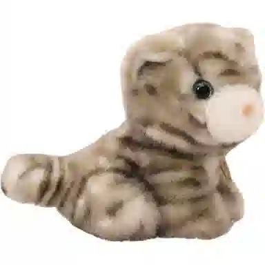 16cm