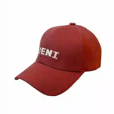 浪莎 仿羊绒硬顶字母刺绣 毛呢 鸭舌帽 男女同款情侣款