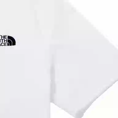 THE NORTH FACE Logo T