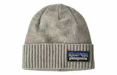 patagonia logo