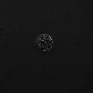 Alexander McQueen SS21 Polo