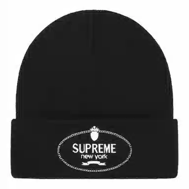 Supreme FW24 WEEK 18 Crest Beanie