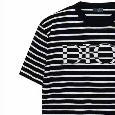 DIOR DIOR T