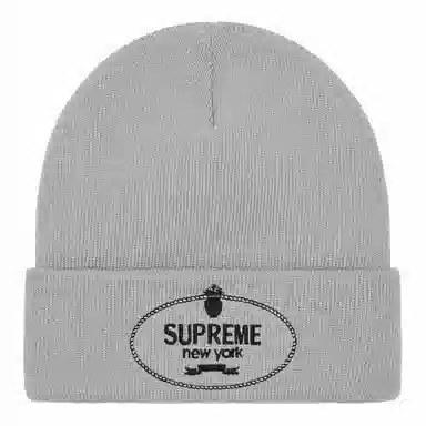 Supreme FW24 WEEK 18 Crest Beanie