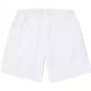 Supreme SS24 Small Box Baggy Mesh Shorts