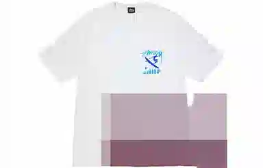 Stussy x David Carson SS24