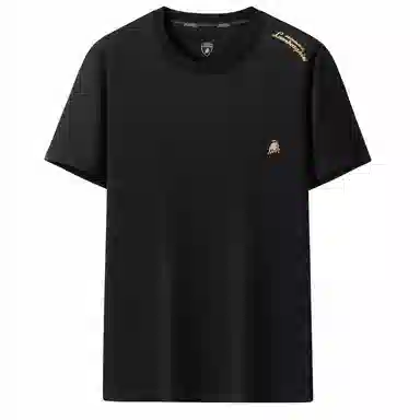 Automobili Lamborghini logoT