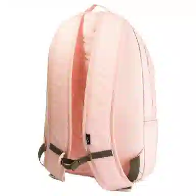 Nike SB Icon Coral Backpack