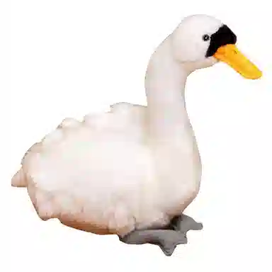 26cm