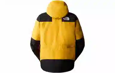 The North Face GTX Mountain Jacket