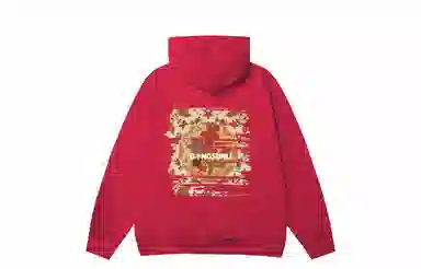 Wangzhe Rongyao Hoodie