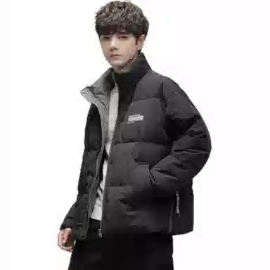 鸭鸭 纯色无帽立领短款长袖羽绒服 男款