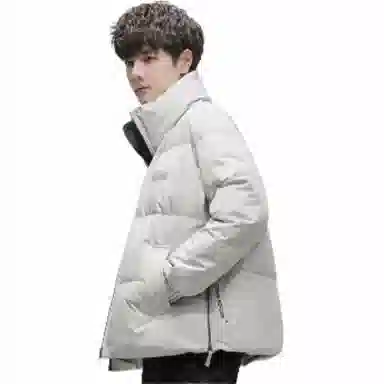 鸭鸭 纯色无帽立领短款长袖羽绒服 男款