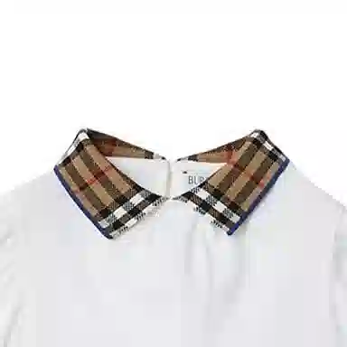 Burberry T