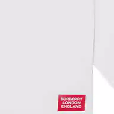 Burberry SS21 T