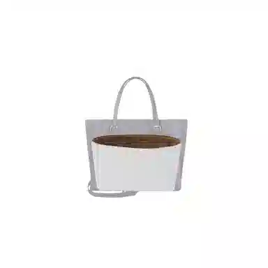 COACH Mollie 25 Totediy