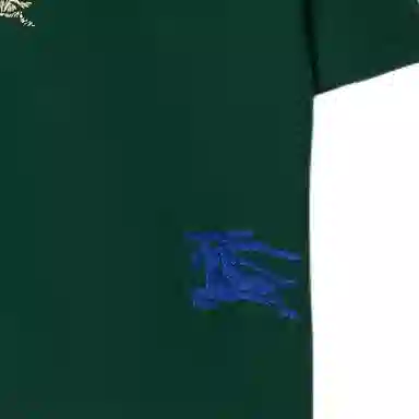 BurberryT