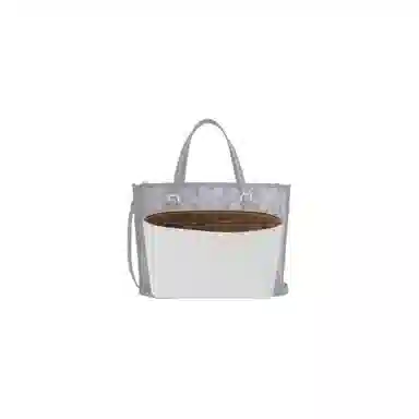 COACH Mollie 25 Totediy