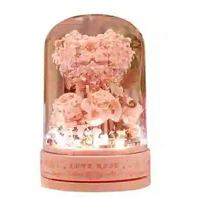 OLOEY 899pcs OLOEY-JM-