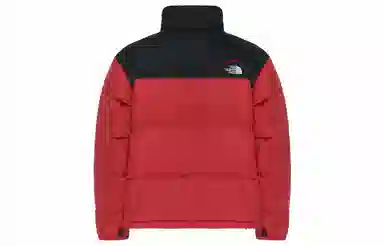 THE NORTH FACE 1996Nuptse Retro logo