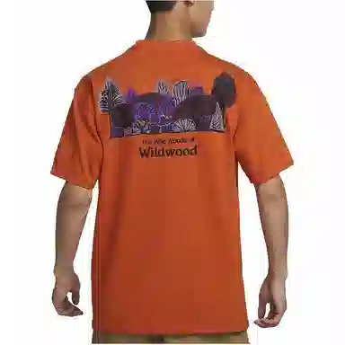Nike NikeACG T