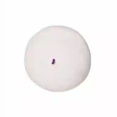 COCK TAIL JOJO Beret