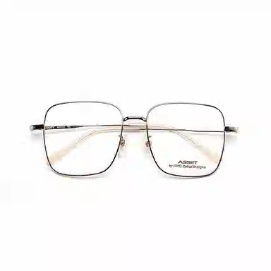 Seiko Optical Glasses Silver