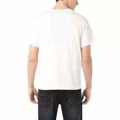 levis T