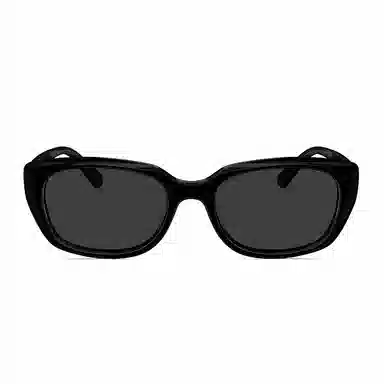 MOLSION Sunglasses