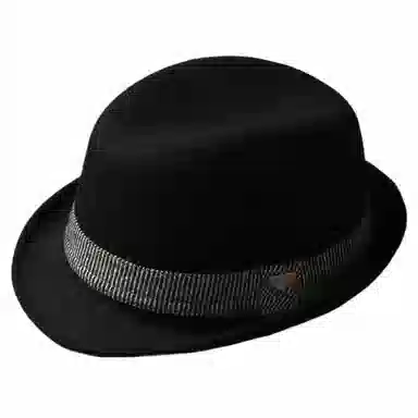Mr Duck Fedora