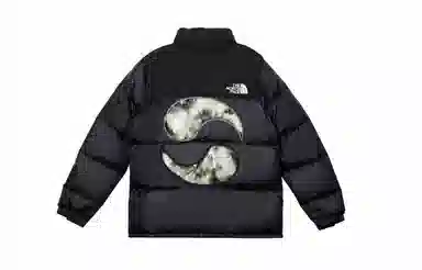 THE NORTH FACE Nuptse 811