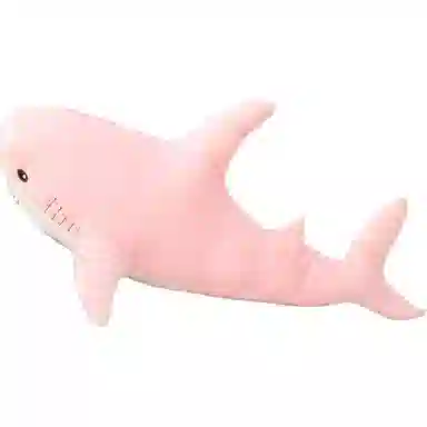 60cm80cm100cm120cm160cm