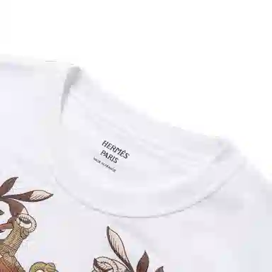 HERMES T