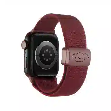 s10applewatchs9s8s7s6se 200mm