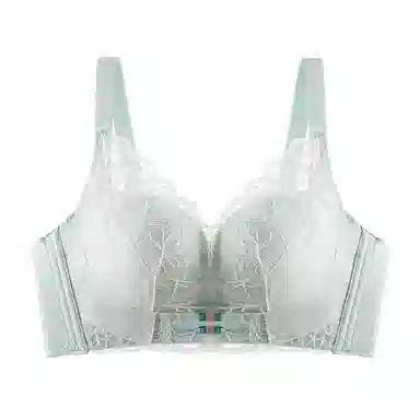 欧迪芬 舒适聚拢上托纯欲蕾丝全包软支撑侧收防外扩无钢圈文胸 女款