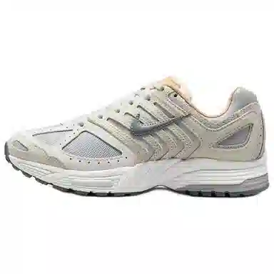 Nike Air Pegasus 2005