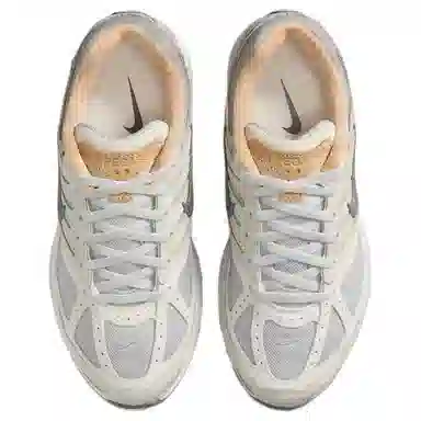 Nike Air Pegasus 2005
