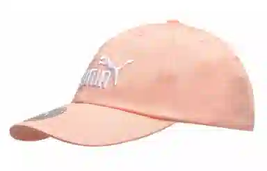 PUMA Logo