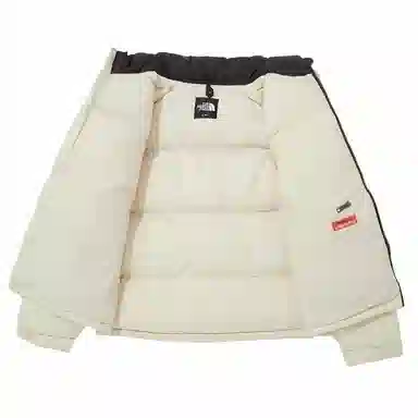 The North Face Nuptse On Ball Jacket