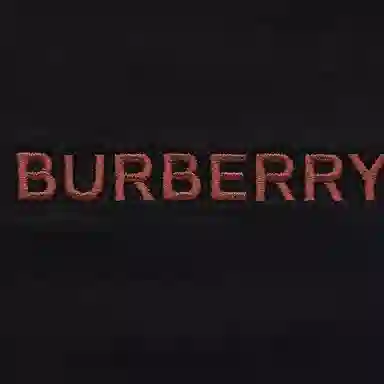 Burberry FW22 LogoT