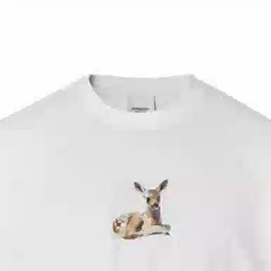 Burberry T